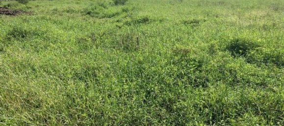 Terreno em Puerto Carrillo, Costa Rica N.º 1890 5