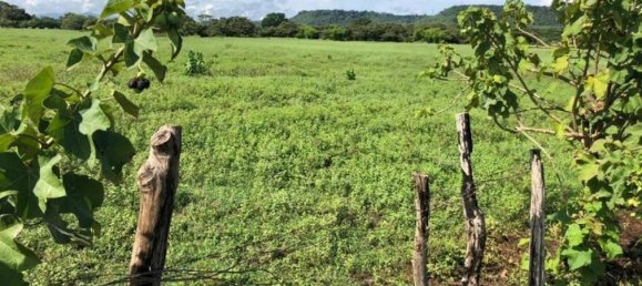 Terreno em Puerto Carrillo, Costa Rica N.º 1890 6