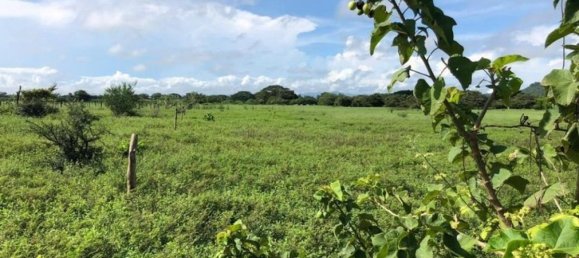 Terreno em Puerto Carrillo, Costa Rica N.º 1890 4