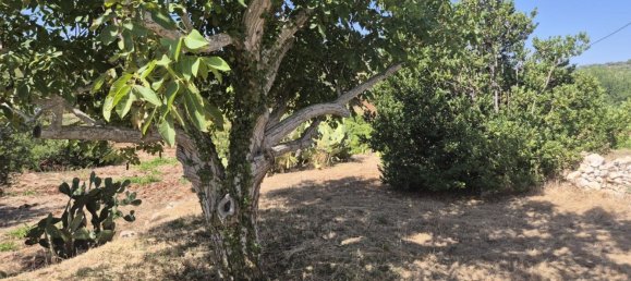 Дом с 3 комнатами в Остуни, Италия № 277456 19