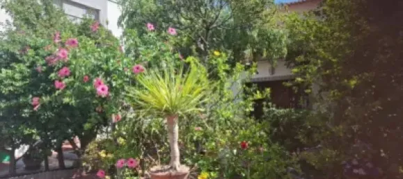 5 chambres Maison à Daimus, Spain No. 190603 29