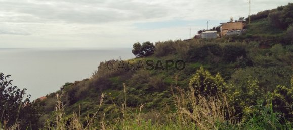 Land in Santa Cruz, Portugal No. 90327 5