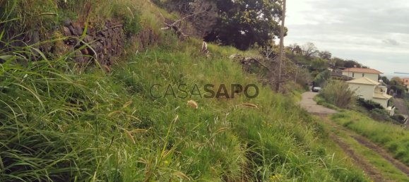 Land in Santa Cruz, Portugal No. 90327 7