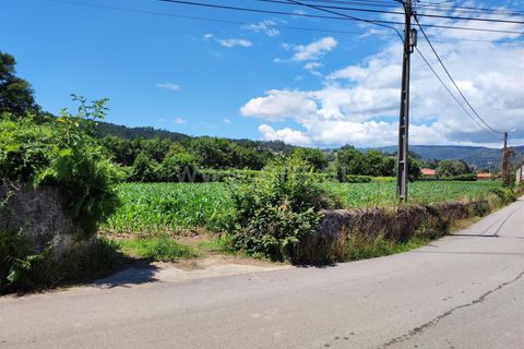 Земельный участок в Барселуш, Португалия № 202271