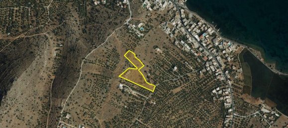 فندق في Lasithi, Greece 10397متر مربع رقم 2641 8