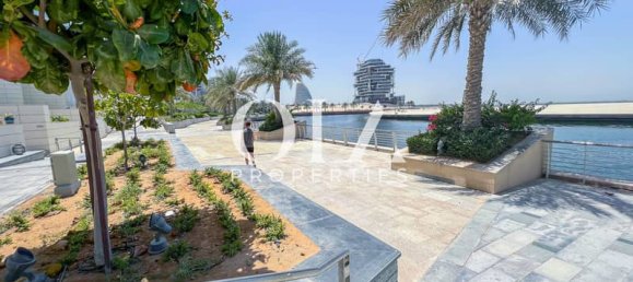 1 bedroom Apartment in Al Raha Beach, UAE No. 17311 4
