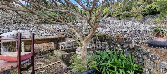 3872m² Land in Praia da Vitoria, Portugal No. 60325 20