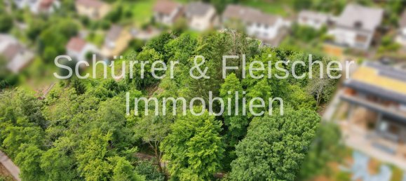 Terreno em Rhein-Neckar-Kreis, Germany N.º 232466 9