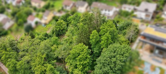 Terreno em Rhein-Neckar-Kreis, Germany N.º 232466 3