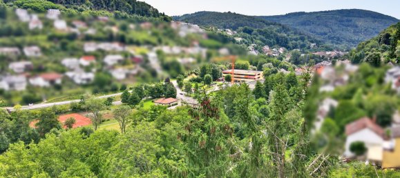 Terreno em Rhein-Neckar-Kreis, Germany N.º 232466 5