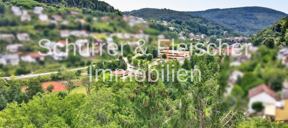 Terreno em Rhein-Neckar-Kreis, Germany N.º 232466 11