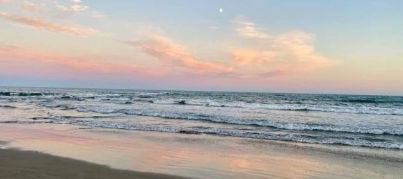 Коммерческая недвижимость 140м² в Кастельон, Испания № 146374 16