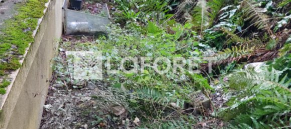 استوديو في Audun-le-Tiche, France رقم 42807 10