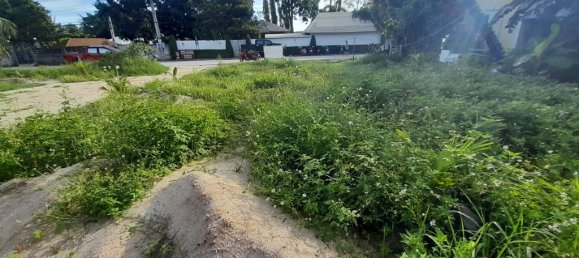 1 غرف نوم قطعة أرض في Surat Thani, Thailand رقم 24582 2