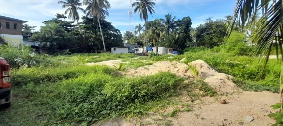 1 غرف نوم قطعة أرض في Surat Thani, Thailand رقم 24582 5