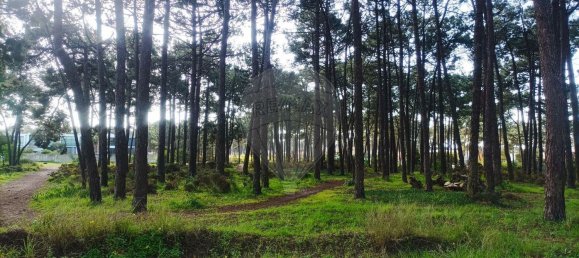 Terrain à Almada, Portugal 5290m² No. 82283 5