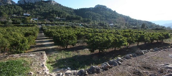  Land in Benimeli, Spain No. 284843 4