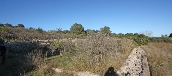  Land in Benimeli, Spain No. 284843 2