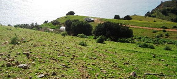 41183m² Hotel in Rethymno, Greece No. 5575 15