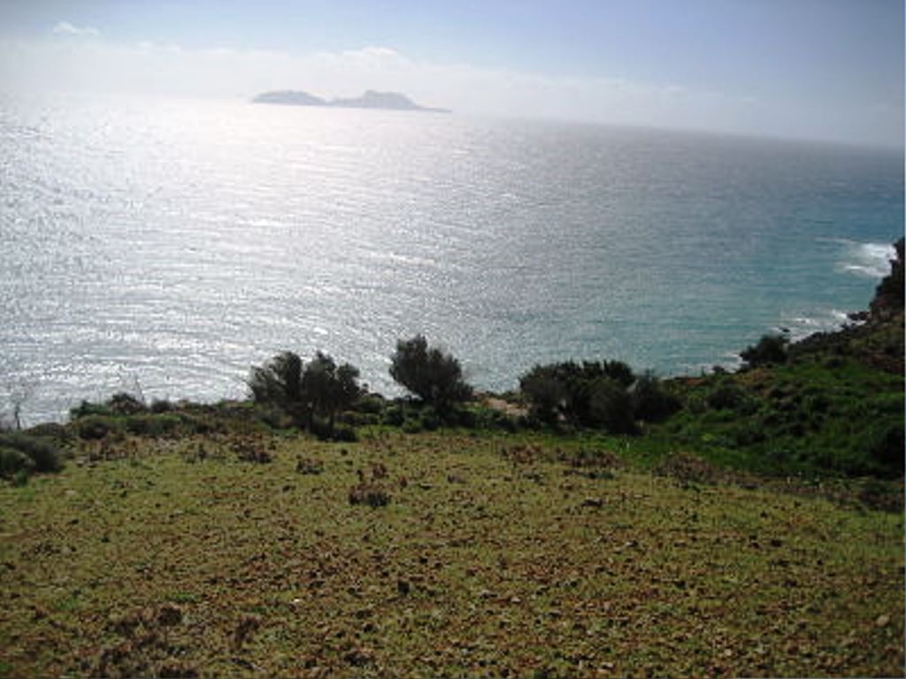 41183m² Hotel in Rethymno, Greece No. 5575