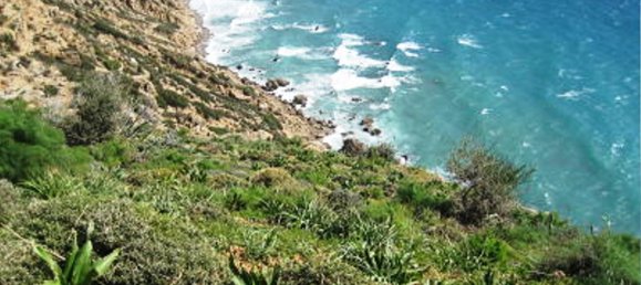 41183m² Hotel in Rethymno, Greece No. 5575 16