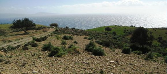 41183m² Hotel in Rethymno, Greece No. 5575 13