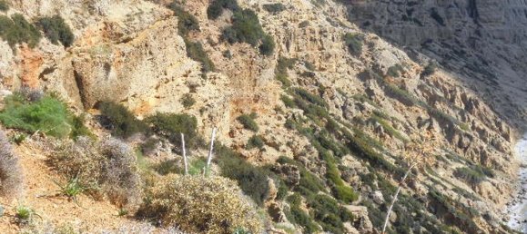 41183m² Hotel in Rethymno, Greece No. 5575 9