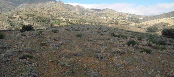 41183m² Hotel in Rethymno, Greece No. 5575 11