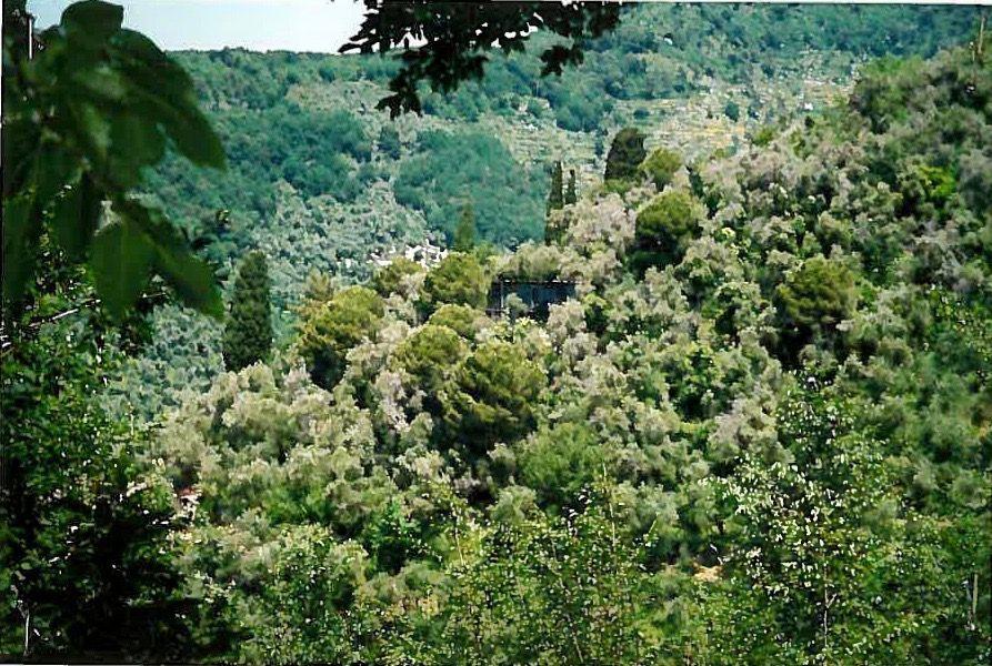 Земельный участок с 1 комнатой в Рапалло, Италия № 9184