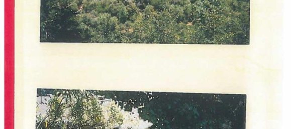 1-Zimmer Grundstück in Rapallo, Italy, Nr. 9184 2