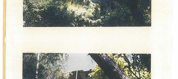 1-Zimmer Grundstück in Rapallo, Italy, Nr. 9184 4