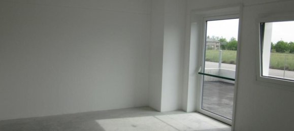 1200m² Warehouse in Breda di Piave, Italy No. 223312 5