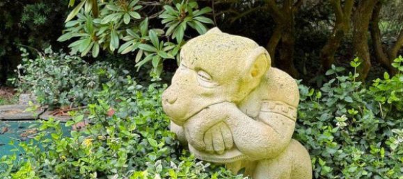 Casa de 5 habitaciónes en Diepholz, Germany No. 269346 12