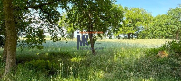 Casa de 5 habitaciónes en Diepholz, Germany No. 269346 7