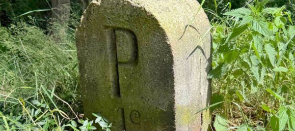 Casa de 5 habitaciónes en Diepholz, Germany No. 269346 14