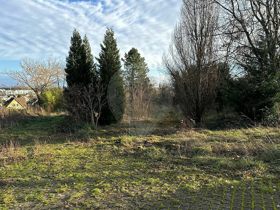 Земельный участок в Сульц-О-Рен, Франция № 46245