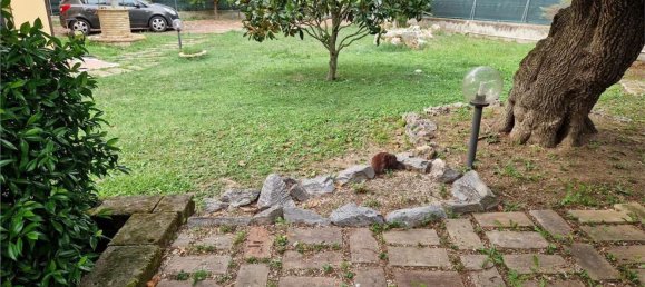 3 chambres Appartement à Ancona, Italy No. 376597 8