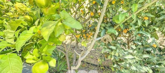 3 bedrooms House in El Penoncillo, Spain No. 111066 49