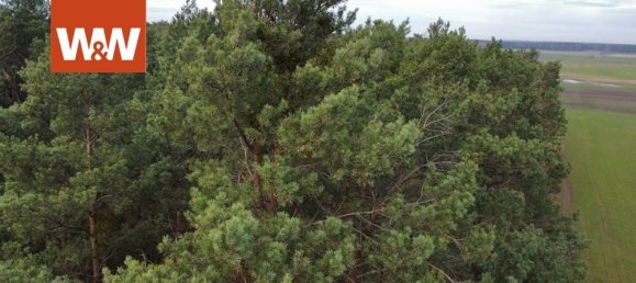 Terrain à Elbe-Elster, Germany No. 64760 2