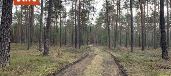 Terrain à Elbe-Elster, Germany No. 64760 4