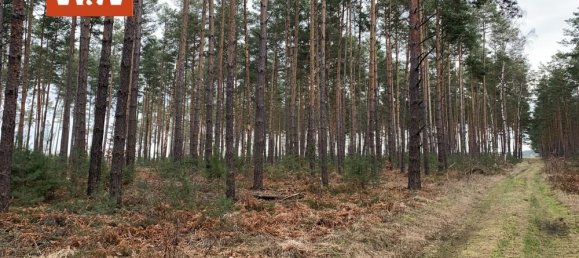 Terrain à Elbe-Elster, Germany No. 64760 3