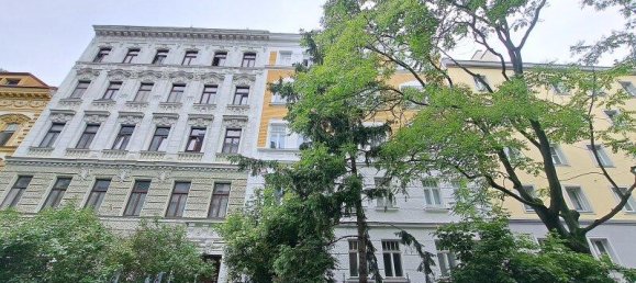 استوديو في Vienna, Austria رقم 224811 9