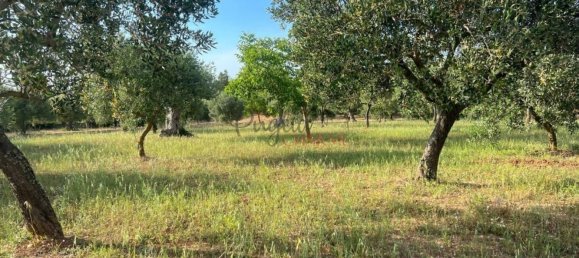 Casa de 4 habitaciónes en Castellana Grotte, Italy No. 73522 50