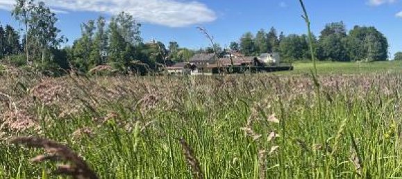 450m² Land in Starnberg, Germany No. 202762 3