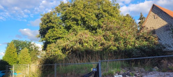 Terreno em Tubingen, Germany N.º 329655 9