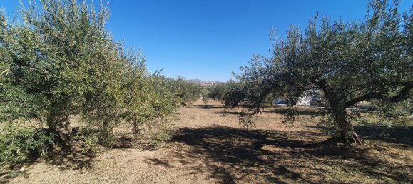  Land in Alhaurin el Grande, Spain No. 154949 5