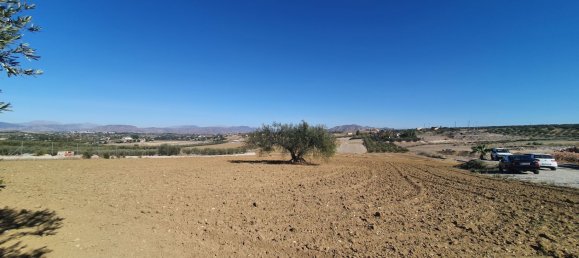  Land in Alhaurin el Grande, Spain No. 154949 6