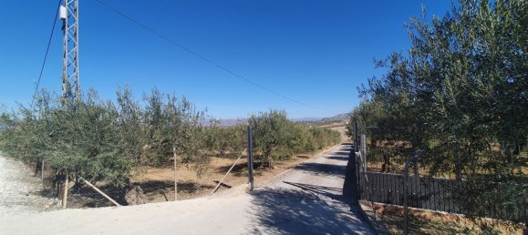  Land in Alhaurin el Grande, Spain No. 154949 2