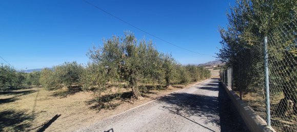  Land in Alhaurin el Grande, Spain No. 154949 12