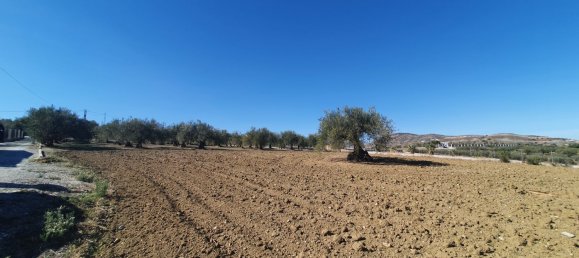  Land in Alhaurin el Grande, Spain No. 154949 9